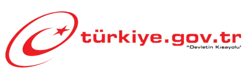 E-Devlet - Türkiye